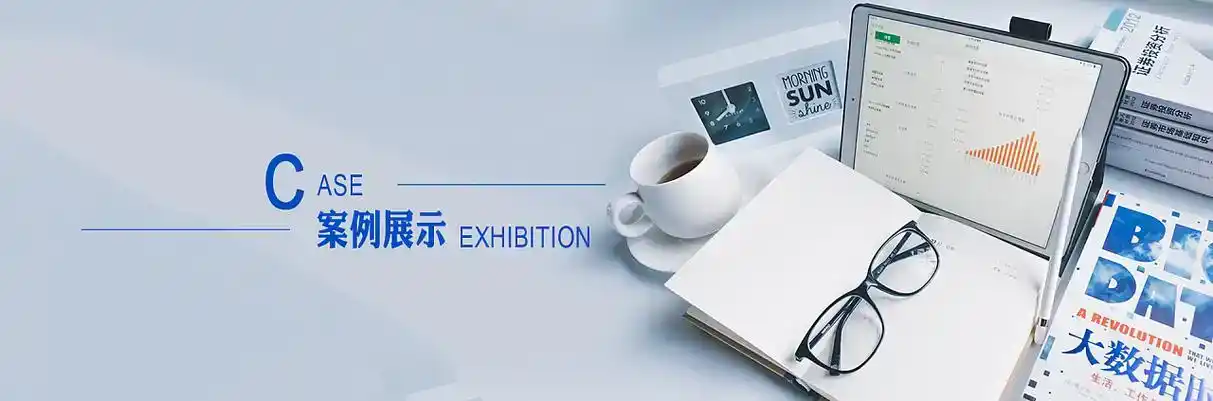 合川市软件开发